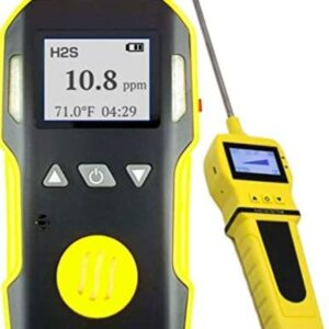Detector Analizador de Sulfuro Hidrogeno H2s con Bomba con Sonda