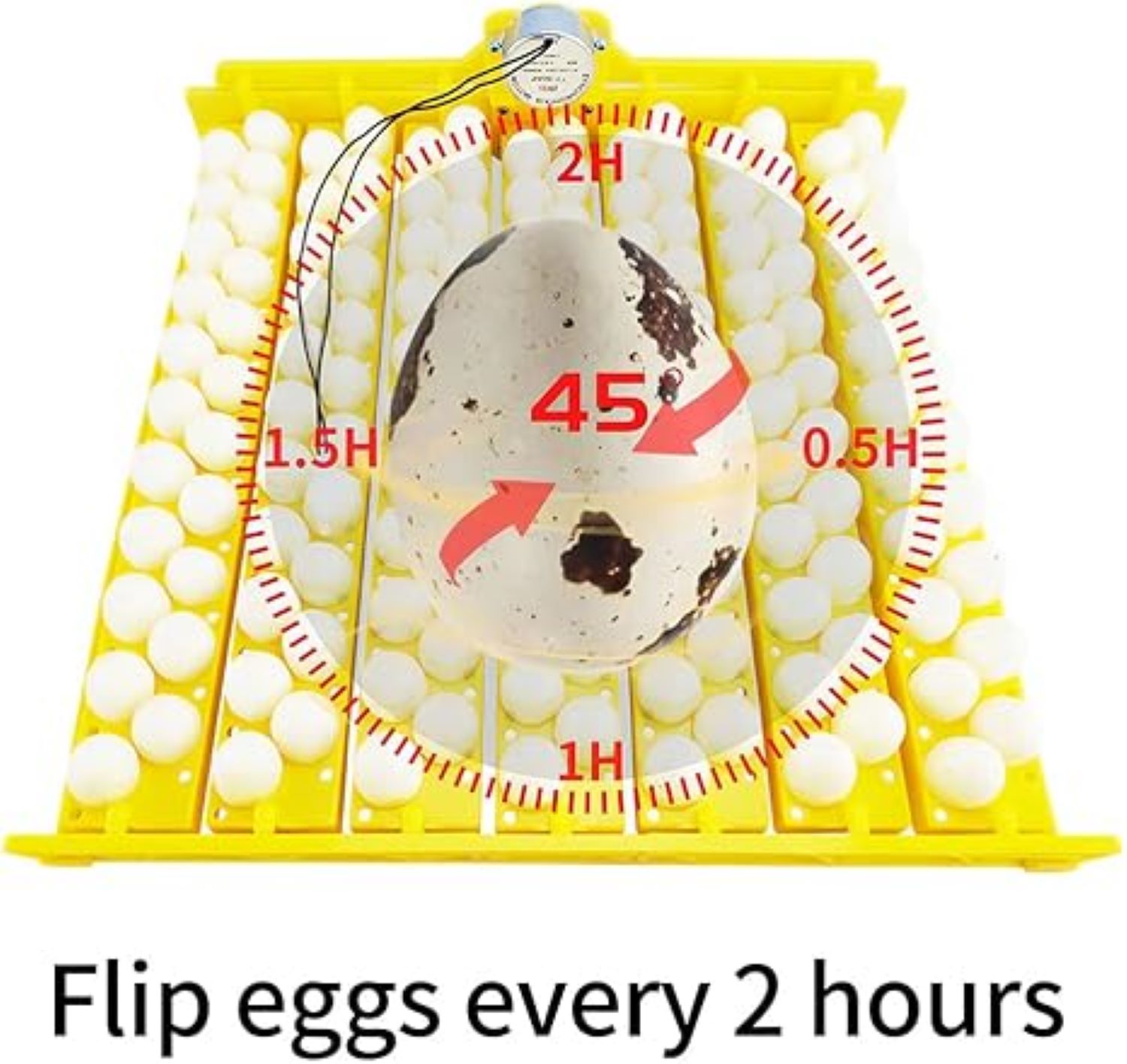 61vn-RTDikL._AC_SX466_
