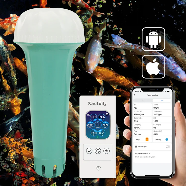 kactoily-pond-WiFi7.0